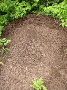 6.10.06 Table Mtn_3CR 073 